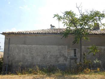 Country house with olive grove for sale in Atessa. Abruzzo. Img12